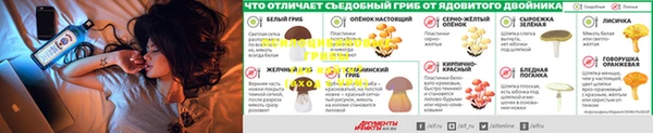 твердый Абинск